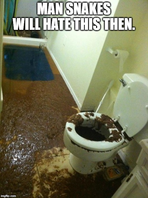 poop | MAN SNAKES WILL HATE THIS THEN. | image tagged in poop | made w/ Imgflip meme maker