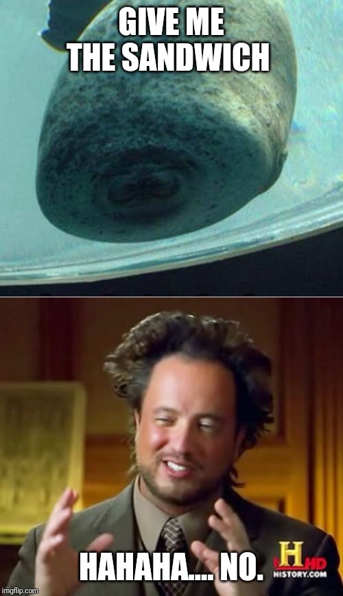 GIVE ME THE SANDWICH; HAHAHA.... NO. | image tagged in memes,ancient aliens,accordion manatee | made w/ Imgflip meme maker