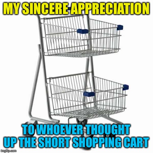 So much easier! | MY SINCERE APPRECIATION; TO WHOEVER THOUGHT UP THE SHORT SHOPPING CART | image tagged in short shopping cart | made w/ Imgflip meme maker