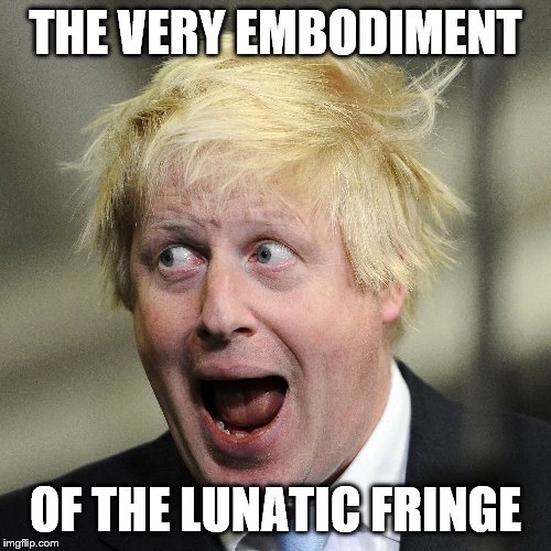 Boris Johnson | THE VERY EMBODIMENT; OF THE LUNATIC FRINGE | image tagged in boris johnson | made w/ Imgflip meme maker