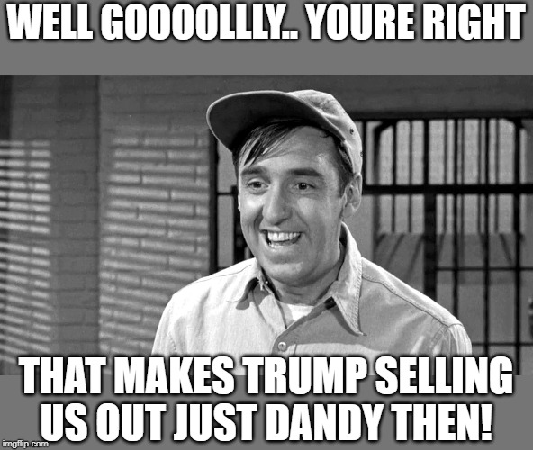 Golly | WELL GOOOOLLLY.. YOURE RIGHT THAT MAKES TRUMP SELLING US OUT JUST DANDY THEN! | image tagged in golly | made w/ Imgflip meme maker