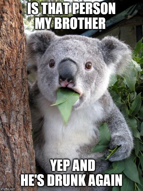 Surprised Koala Meme | IS THAT PERSON MY BROTHER; YEP AND HE'S DRUNK AGAIN | image tagged in memes,surprised koala | made w/ Imgflip meme maker