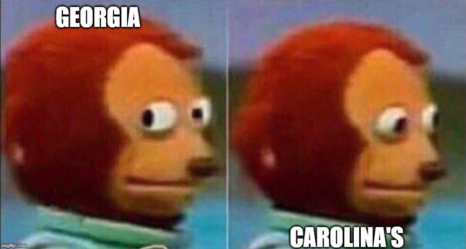 Monkey looking away | GEORGIA CAROLINA'S | image tagged in monkey looking away | made w/ Imgflip meme maker