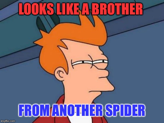 Futurama Fry Meme | LOOKS LIKE A BROTHER FROM ANOTHER SPIDER | image tagged in memes,futurama fry | made w/ Imgflip meme maker