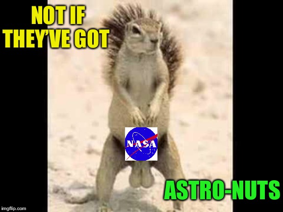 Squirrel nuts | NOT IF THEY’VE GOT ASTRO-NUTS | image tagged in squirrel nuts | made w/ Imgflip meme maker