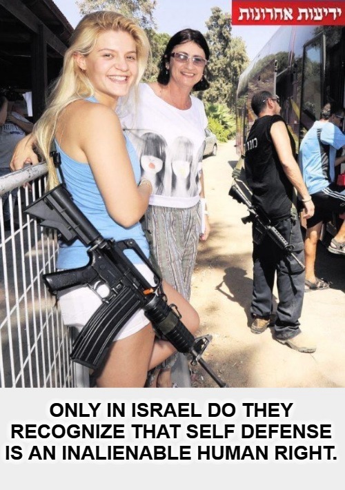 Self Defense is an Inalienable Human RIGHT! | image tagged in self defense,gun rights,israel,open carry,2nd amendment,girls with guns | made w/ Imgflip meme maker