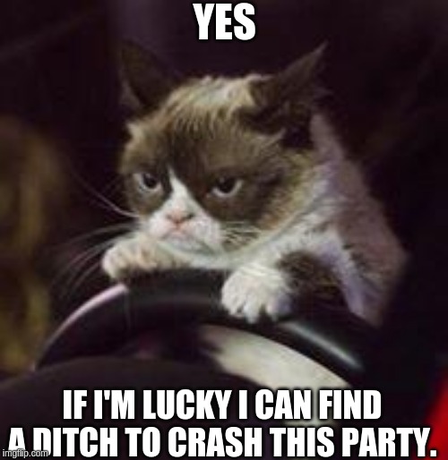 Grumpy Cat Car | YES; IF I'M LUCKY I CAN FIND A DITCH TO CRASH THIS PARTY. | image tagged in grumpy cat car | made w/ Imgflip meme maker