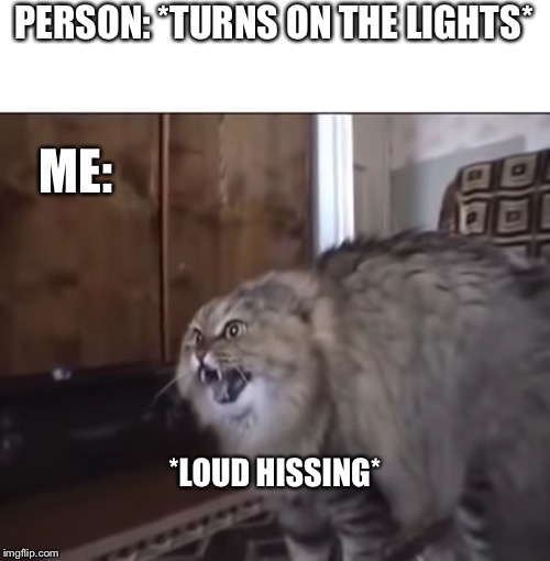 Just don’t do this | PERSON: *TURNS ON THE LIGHTS*; ME:; *LOUD HISSING* | image tagged in hissing cat,noooooooooooooooooooooooo,help,lel | made w/ Imgflip meme maker