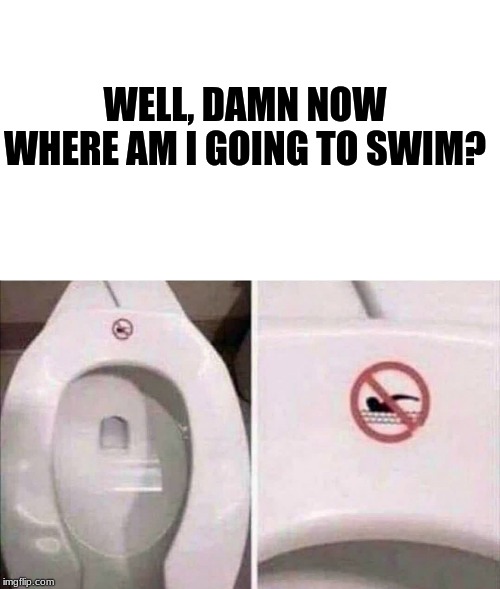 Where can I swim | WELL, DAMN NOW WHERE AM I GOING TO SWIM? | image tagged in toilet humor | made w/ Imgflip meme maker
