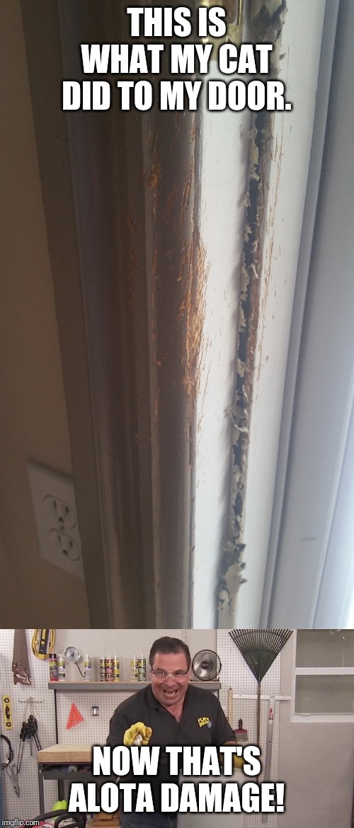 THIS IS WHAT MY CAT DID TO MY DOOR. NOW THAT'S ALOTA DAMAGE! | image tagged in now that's a lot of damage | made w/ Imgflip meme maker