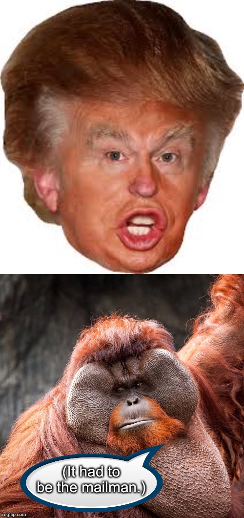 Hair (heir) apparent | (It had to be the mailman.) | image tagged in orangutan,annoying orange,disappointment | made w/ Imgflip meme maker