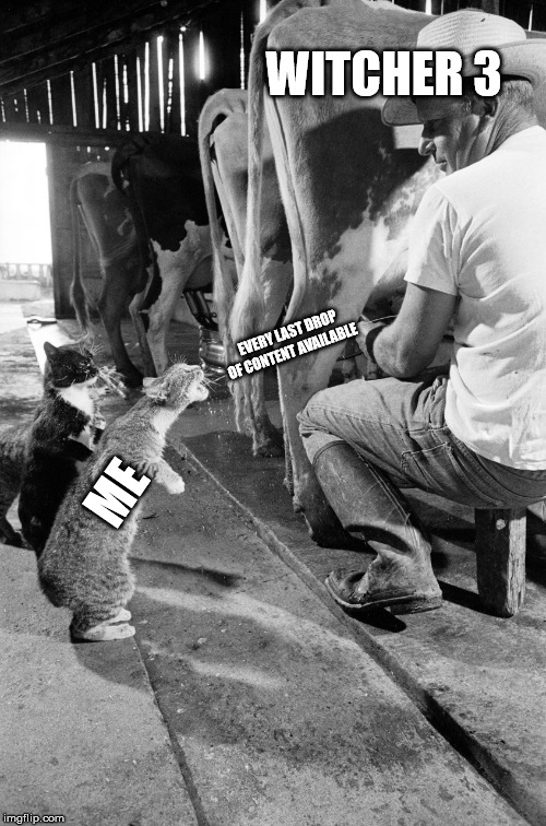 One Cow, Three Cats and Some (Very) Fresh Milk | WITCHER 3; EVERY LAST DROP OF CONTENT AVAILABLE; ME | image tagged in one cow three cats and some very fresh milk | made w/ Imgflip meme maker