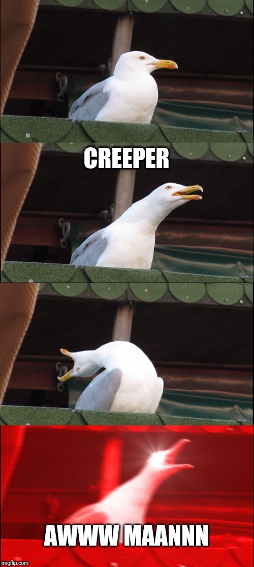 Inhaling Seagull | CREEPER; AWWW MAANNN | image tagged in memes,inhaling seagull | made w/ Imgflip meme maker