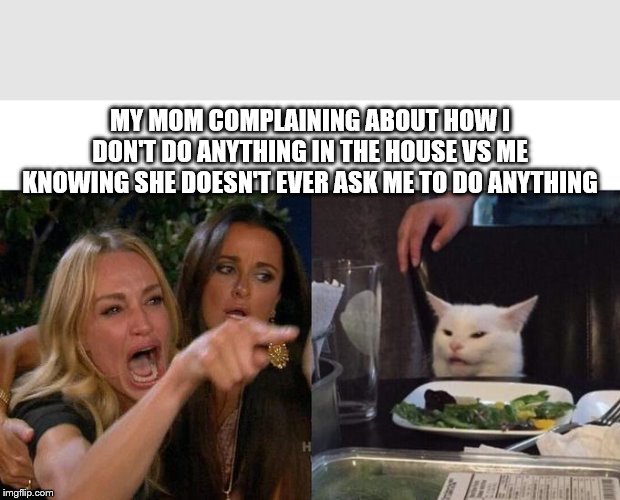 Woman Yelling At Cat | MY MOM COMPLAINING ABOUT HOW I DON'T DO ANYTHING IN THE HOUSE VS ME KNOWING SHE DOESN'T EVER ASK ME TO DO ANYTHING | image tagged in two women yelling at a cat | made w/ Imgflip meme maker