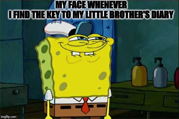 The diary | MY FACE WHENEVER I FIND THE KEY TO MY LITTLE BROTHER'S DIARY | image tagged in memes,dont you squidward | made w/ Imgflip meme maker