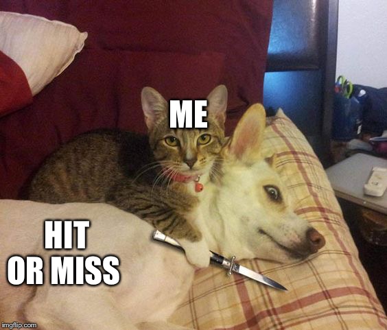 Cat knife Dog | ME HIT OR MISS | image tagged in cat knife dog | made w/ Imgflip meme maker