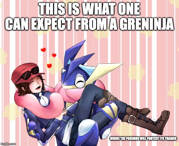 Calem and Greninja | THIS IS WHAT ONE CAN EXPECT FROM A GRENINJA; WHERE THE POKEMON WILL PROTECT ITS TRAINER | image tagged in greninja,calem,pokemon x and y,memes,pokemon | made w/ Imgflip meme maker