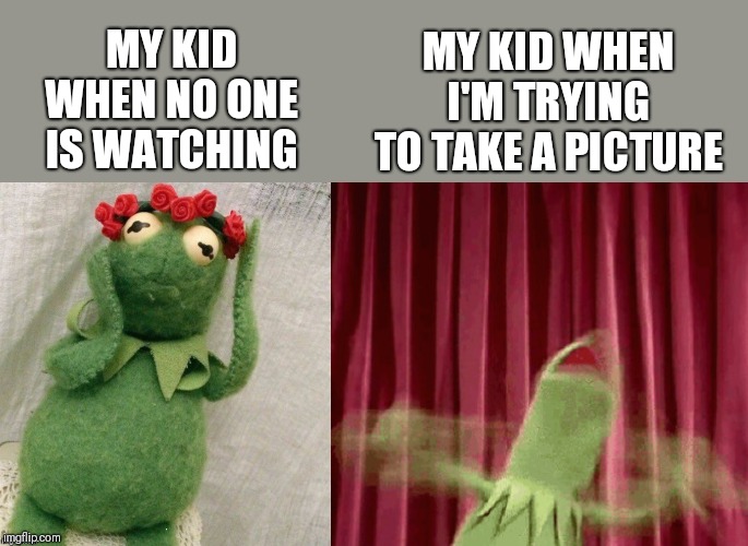MY KID WHEN I'M TRYING TO TAKE A PICTURE; MY KID WHEN NO ONE IS WATCHING | image tagged in kermit the frog | made w/ Imgflip meme maker