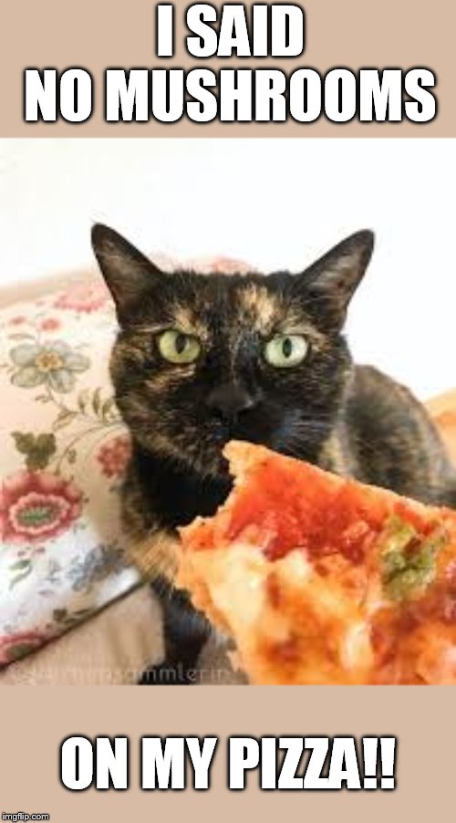 I SAID NO MUSHROOMS ON MY PIZZA!! | made w/ Imgflip meme maker