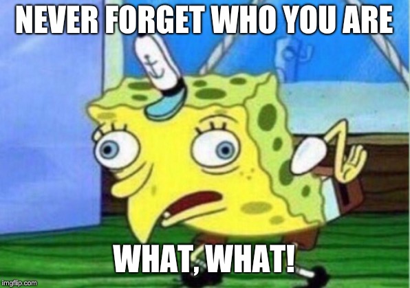 Mocking Spongebob | NEVER FORGET WHO YOU ARE; WHAT, WHAT! | image tagged in memes,mocking spongebob | made w/ Imgflip meme maker