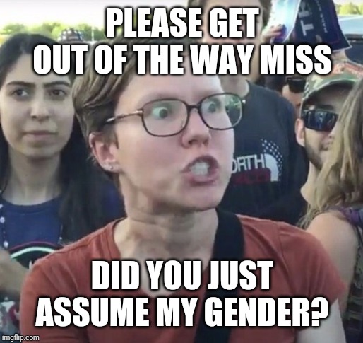 Triggered feminist | PLEASE GET OUT OF THE WAY MISS; DID YOU JUST ASSUME MY GENDER? | image tagged in triggered feminist | made w/ Imgflip meme maker