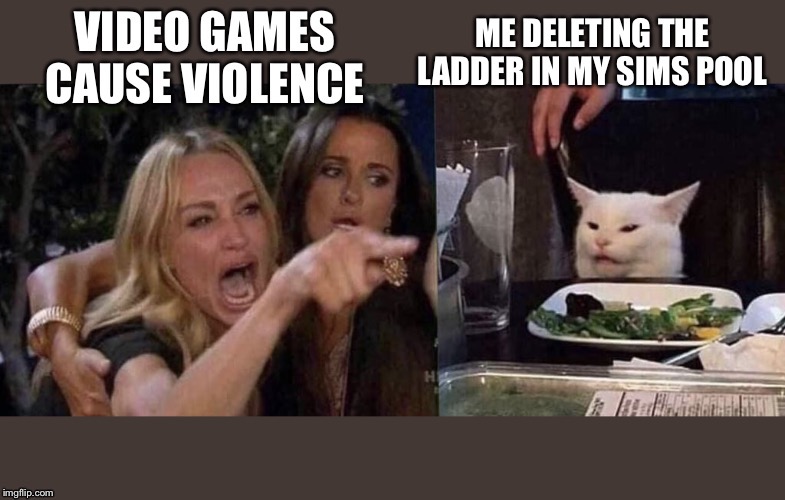 Video Games cause violence | image tagged in woman yelling at cat | made w/ Imgflip meme maker