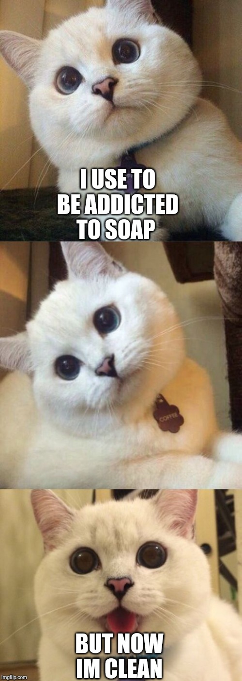 bad pun cat  | I USE TO BE ADDICTED TO SOAP; BUT NOW IM CLEAN | image tagged in bad pun cat | made w/ Imgflip meme maker