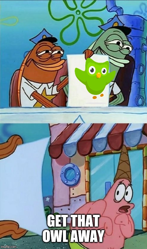 patrick scared | GET THAT OWL AWAY | image tagged in patrick scared | made w/ Imgflip meme maker