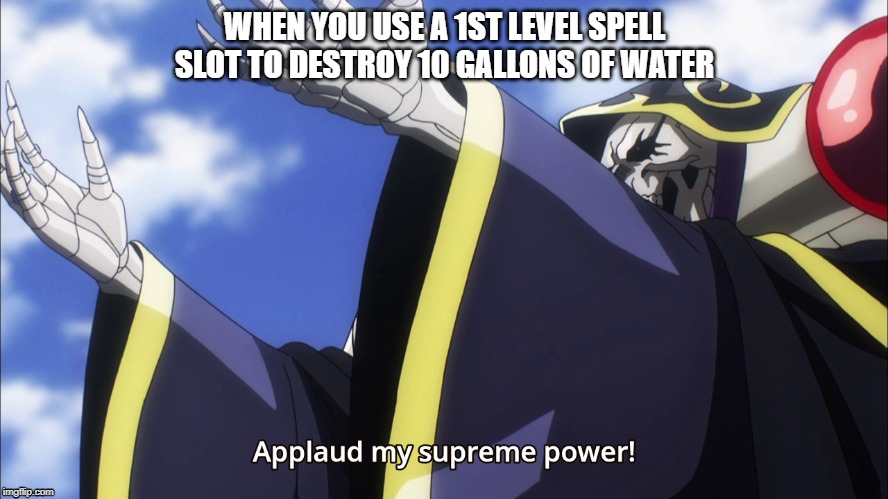 D&D create/destroy water the most useless spell. | WHEN YOU USE A 1ST LEVEL SPELL SLOT TO DESTROY 10 GALLONS OF WATER | image tagged in dungeons and dragons | made w/ Imgflip meme maker