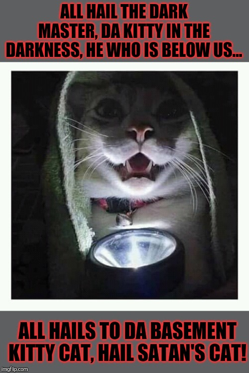 He who is Lurking Below | ALL HAIL THE DARK MASTER, DA KITTY IN THE DARKNESS, HE WHO IS BELOW US... ALL HAILS TO DA BASEMENT KITTY CAT, HAIL SATAN'S CAT! | image tagged in cats,basement dweller,basement | made w/ Imgflip meme maker