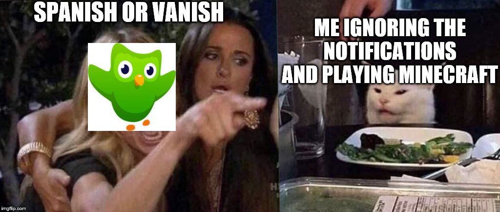 u suck duo | SPANISH OR VANISH; ME IGNORING THE NOTIFICATIONS AND PLAYING MINECRAFT | image tagged in woman yelling at cat | made w/ Imgflip meme maker