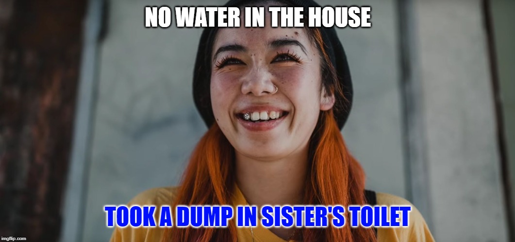 NO WATER IN THE HOUSE; TOOK A DUMP IN SISTER'S TOILET | image tagged in stink,poop,shit | made w/ Imgflip meme maker
