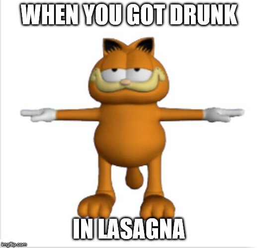 Garfield lasagna | WHEN YOU GOT DRUNK; IN LASAGNA | image tagged in garfield t-pose | made w/ Imgflip meme maker
