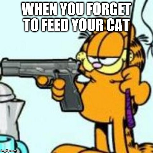uh oh | WHEN YOU FORGET TO FEED YOUR CAT | image tagged in garfield about to kill your ass | made w/ Imgflip meme maker