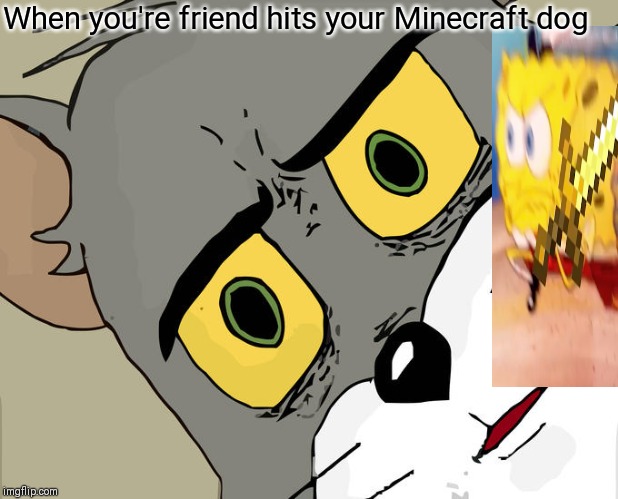 Unsettled Tom | When you're friend hits your Minecraft dog | image tagged in memes,unsettled tom | made w/ Imgflip meme maker