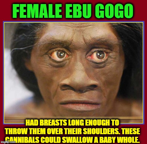 Switching to Cannibalism will  help Lower Bovine Gas Emissions | FEMALE EBU GOGO HAD BREASTS LONG ENOUGH TO THROW THEM OVER THEIR SHOULDERS. THESE CANNIBALS COULD SWALLOW A BABY WHOLE. | image tagged in vince vance,ebu gogo,cannibalism,human flesh,long breasts,legendary tribes | made w/ Imgflip meme maker
