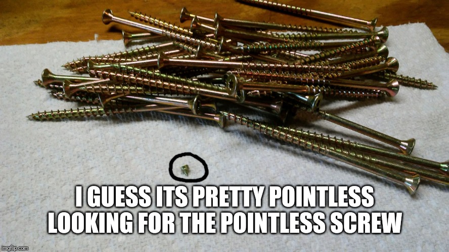 Pointless Screw meme template | I GUESS ITS PRETTY POINTLESS LOOKING FOR THE POINTLESS SCREW | image tagged in pointless screw meme template | made w/ Imgflip meme maker
