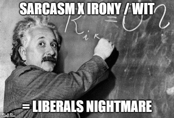 Even Einstein could troll a liberal | SARCASM X IRONY / WIT; = LIBERALS NIGHTMARE | image tagged in smart | made w/ Imgflip meme maker