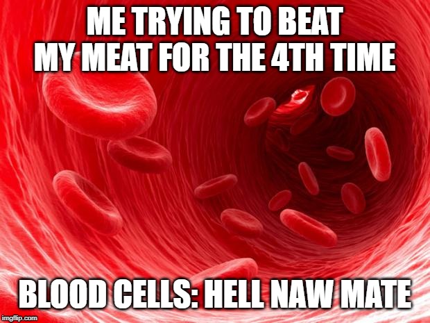 blood cells | ME TRYING TO BEAT MY MEAT FOR THE 4TH TIME; BLOOD CELLS: HELL NAW MATE | image tagged in blood cells | made w/ Imgflip meme maker