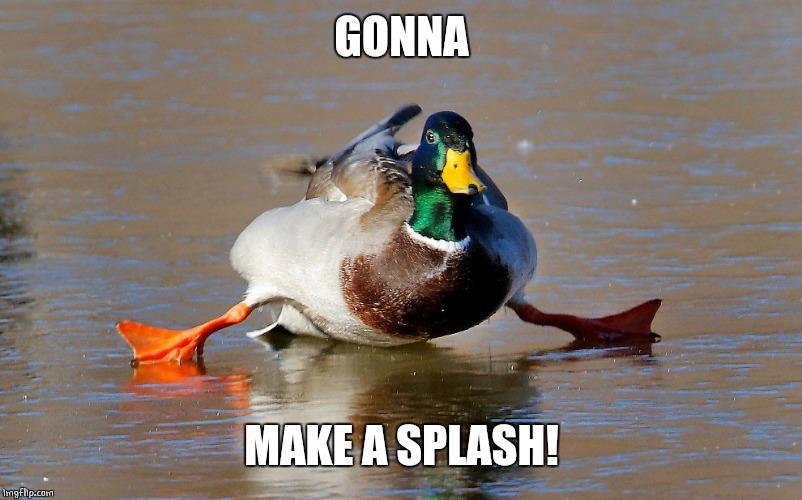 GONNA; MAKE A SPLASH! | image tagged in ducks,funny duck | made w/ Imgflip meme maker