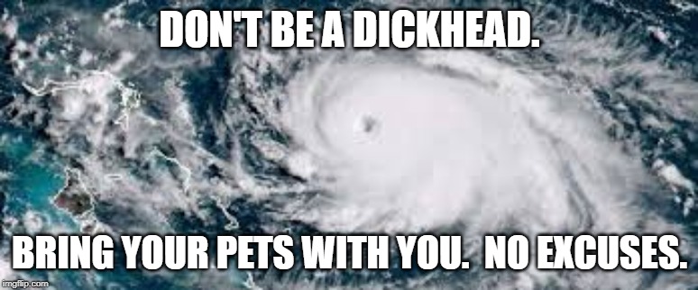 DON'T BE A DICKHEAD. BRING YOUR PETS WITH YOU.  NO EXCUSES. | image tagged in pets,hurricane,dickhead | made w/ Imgflip meme maker