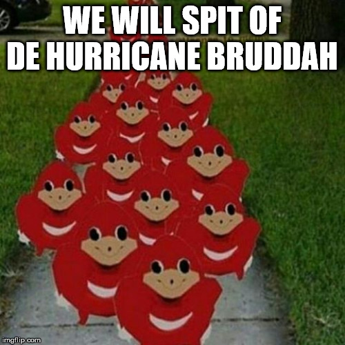 Ugandan knuckles army | WE WILL SPIT OF DE HURRICANE BRUDDAH | image tagged in ugandan knuckles army | made w/ Imgflip meme maker