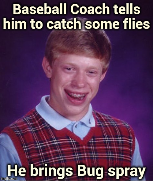 The Sultan of stupid | Baseball Coach tells him to catch some flies; He brings Bug spray | image tagged in memes,bad luck brian,babe,its not going to happen,baseball,not sure if | made w/ Imgflip meme maker