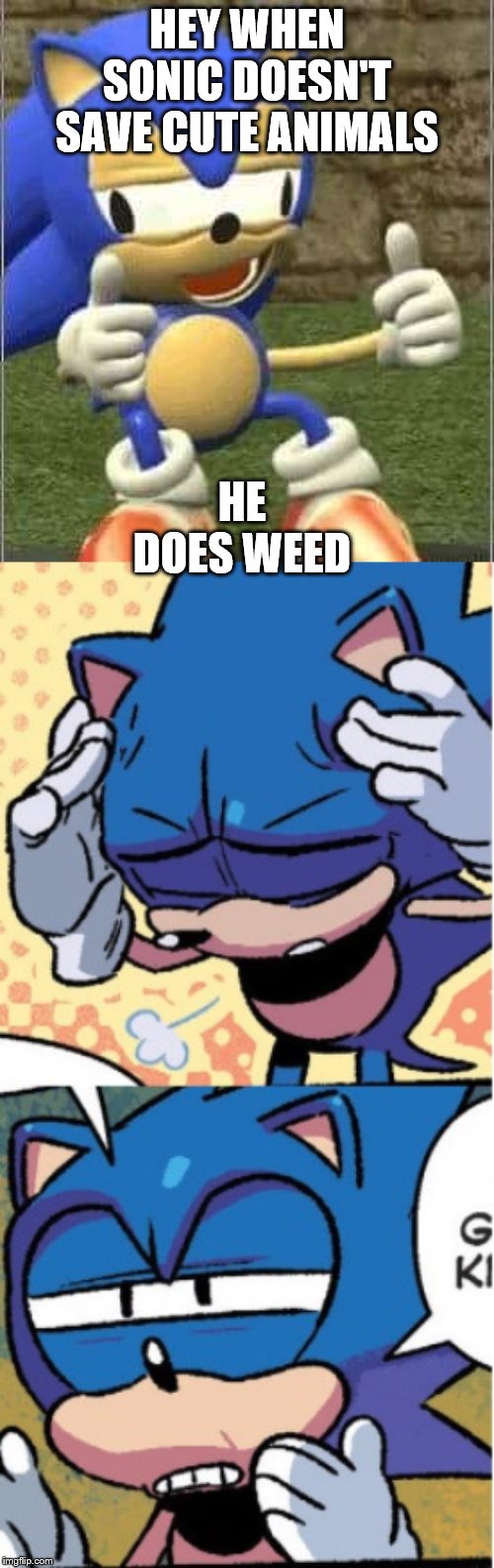 HEY WHEN SONIC DOESN'T SAVE CUTE ANIMALS; HE DOES WEED | image tagged in drunk sonic,sonic boi | made w/ Imgflip meme maker