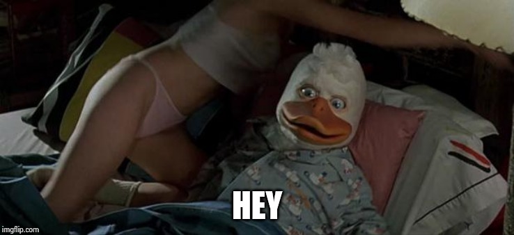 howard the duck | HEY | image tagged in howard the duck | made w/ Imgflip meme maker