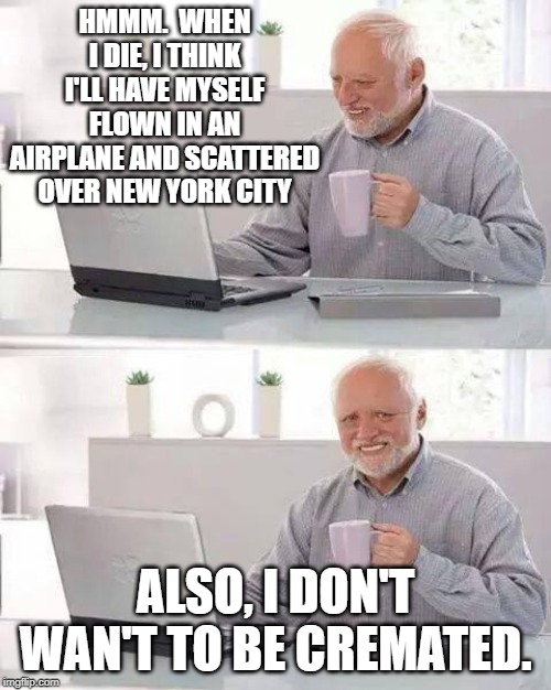 One last little jab | HMMM.  WHEN I DIE, I THINK I'LL HAVE MYSELF FLOWN IN AN AIRPLANE AND SCATTERED OVER NEW YORK CITY; ALSO, I DON'T WAN'T TO BE CREMATED. | image tagged in memes,hide the pain harold,funny,funny memes | made w/ Imgflip meme maker