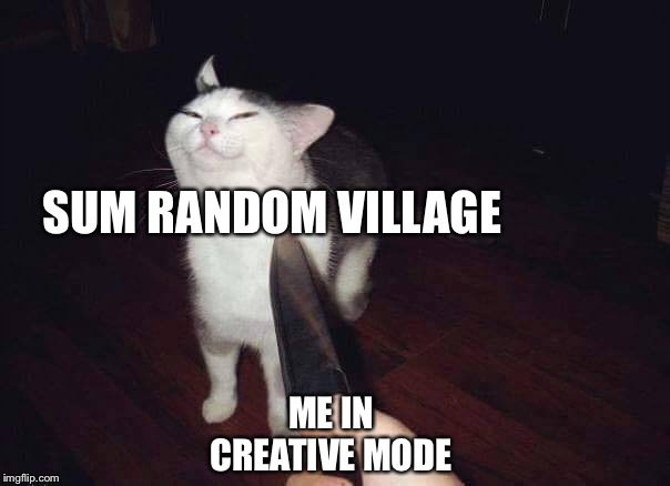 Especially the ones without a blacksmith | SUM RANDOM VILLAGE; ME IN CREATIVE MODE | image tagged in smug cat knife,villages suck,lel | made w/ Imgflip meme maker