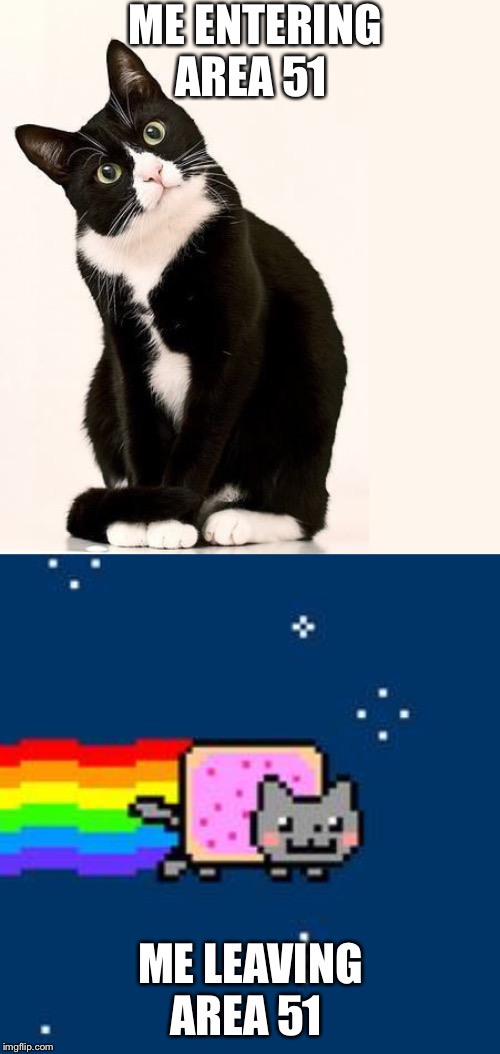 ME ENTERING AREA 51 ME LEAVING AREA 51 | image tagged in nyan cat,tuxedo cat | made w/ Imgflip meme maker