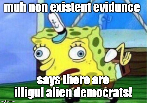 Mocking Spongebob Meme | muh non existent evidunce says there are illigul alien democrats! | image tagged in memes,mocking spongebob | made w/ Imgflip meme maker