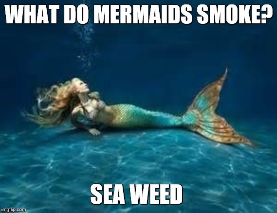Mermaid  | WHAT DO MERMAIDS SMOKE? SEA WEED | image tagged in mermaid | made w/ Imgflip meme maker